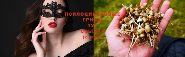 ешки Алзамай
