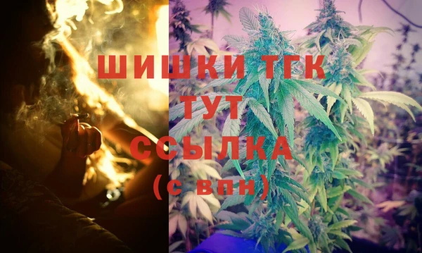 ешки Алзамай