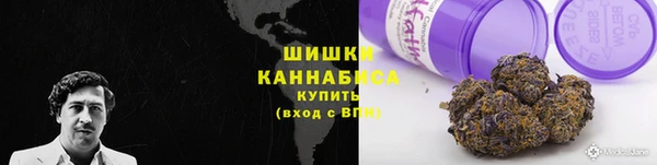 ешки Алзамай
