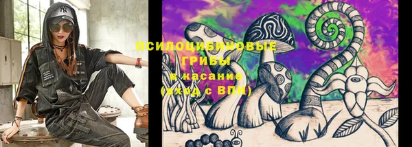 твердый Алексин
