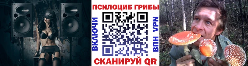 Галлюциногенные грибы мухоморы  hydra   Камбарка  закладка 